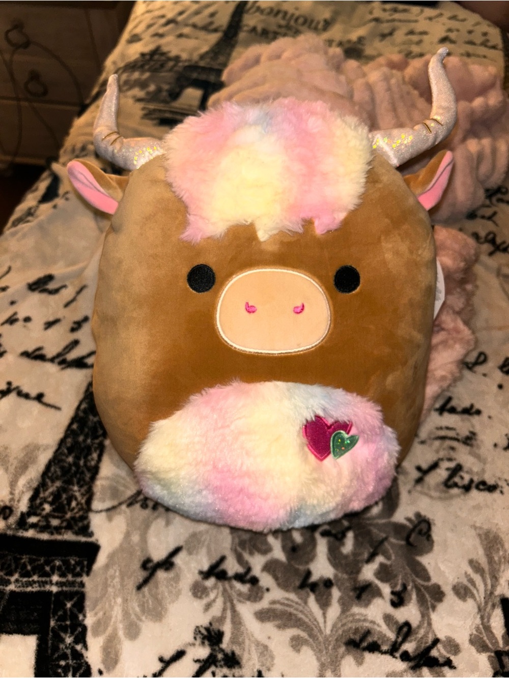 Squishmallows Brown Plush with Pastel Rainbow Fur and Heart Patch